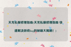 天龙私服修理指南(天龙私服修理指南 快速解决游戏bug的秘籍大揭秘！)