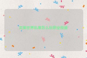 完美世界私服怎么玩职业技能