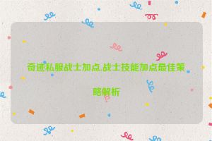 奇迹私服战士加点,战士技能加点最佳策略解析
