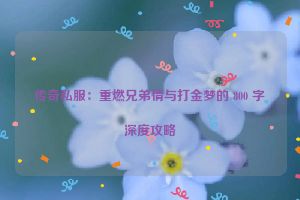 传奇私服：重燃兄弟情与打金梦的 800 字深度攻略