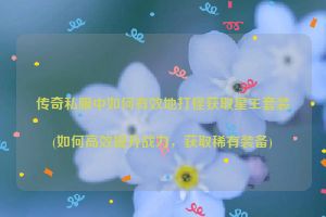 传奇私服中如何有效地打怪获取星王套装(如何高效提升战力，获取稀有装备)
