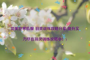 完美世界私服 羽灵训练攻略分享(提升实力尽在羽灵训练攻略中！)